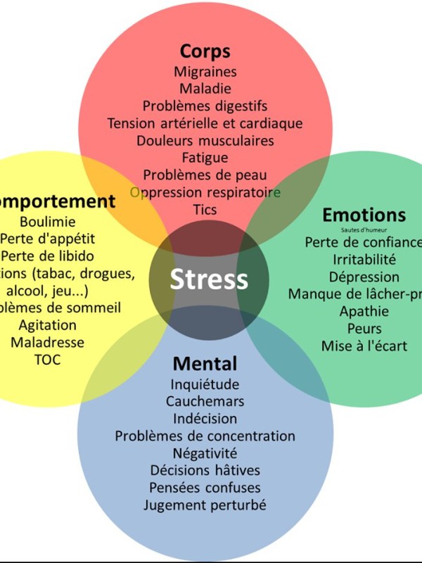 Les effets du Stress sur notre&nbsp;Santé